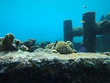 Curacao 04-12 045